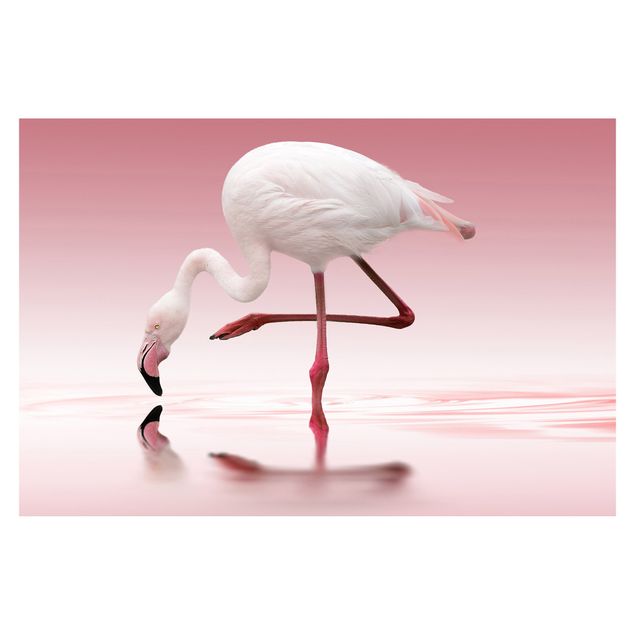 Wandtapete rosa Flamingo Dance
