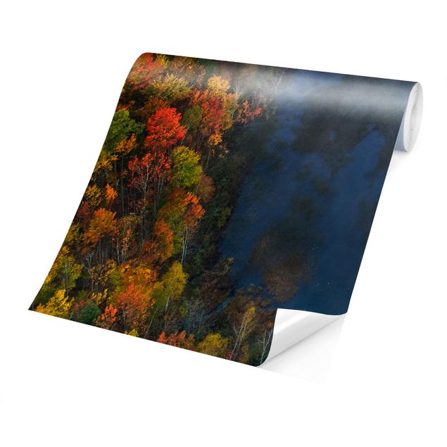Wandtapete grau Luftbild - Herbst Symphonie
