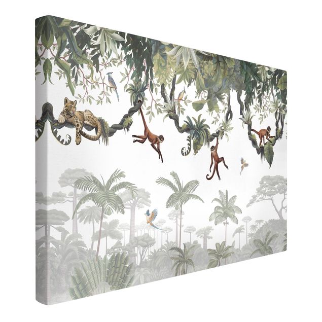 Wandbilder Bäume Freche Affen in tropischen Kronen