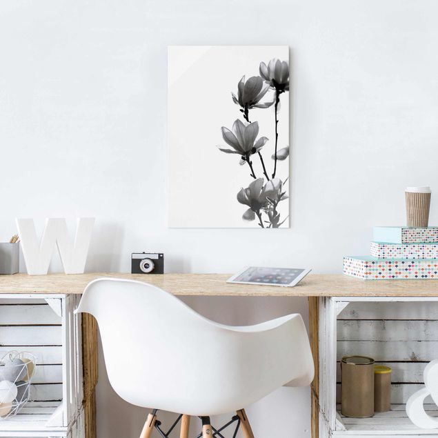 Glasbild schwarz-weiß Frühlingsbote Magnolie Schwarz Weiß