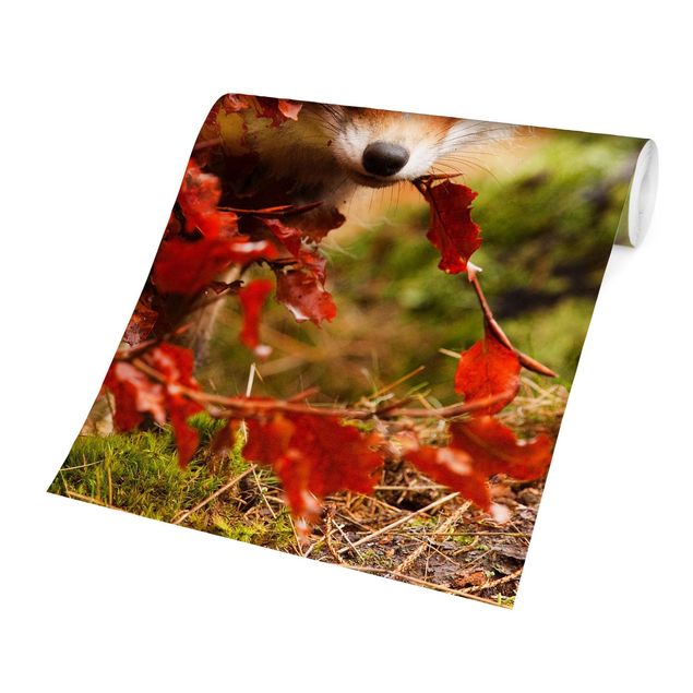 Wandtapete orange Fuchs im Herbst