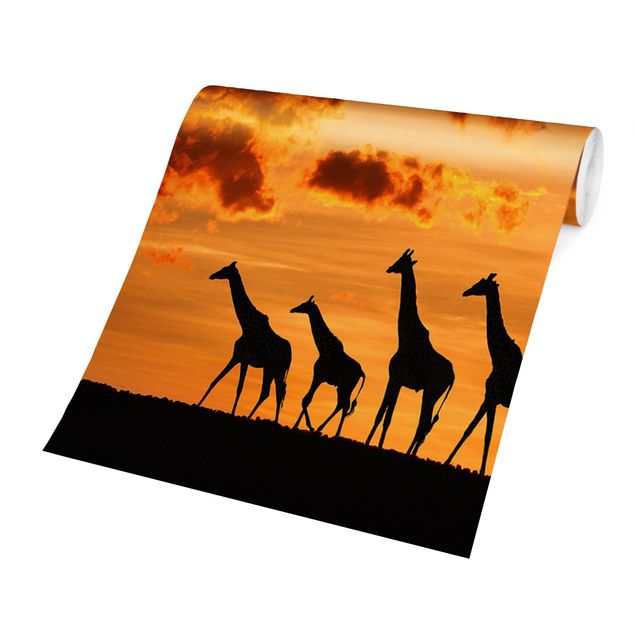 Fototapete Sonnenaufgang Fünf Giraffen