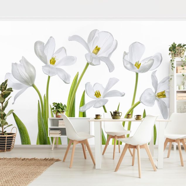 moderne Fototapete Fünf Weiße Tulpen