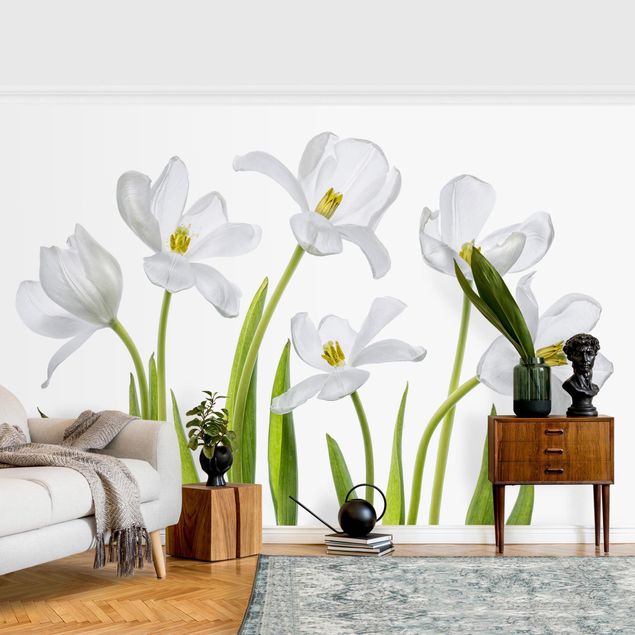 Tapete Landhaus Fünf Weiße Tulpen