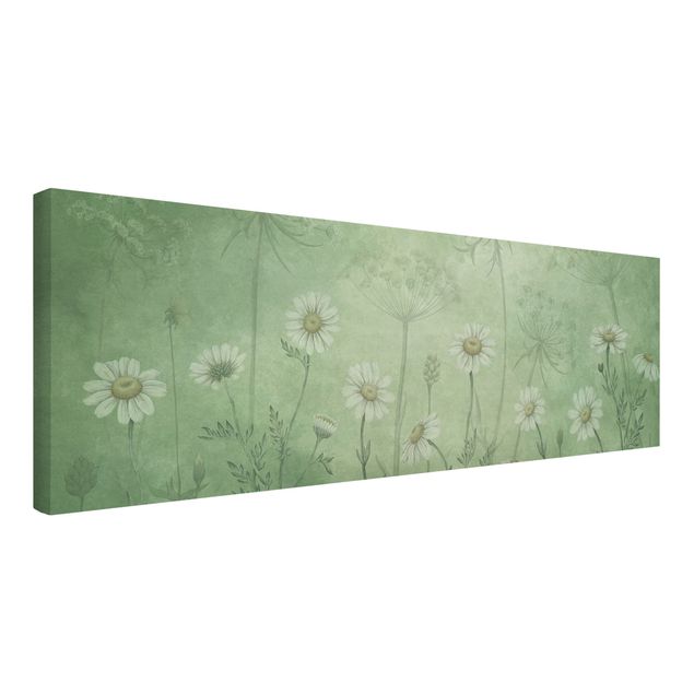 Wandbilder Floral Gänseblümchen im grünen Nebel