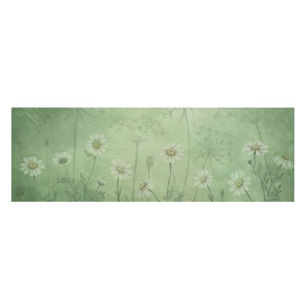 Wandbilder Blumen Gänseblümchen im grünen Nebel