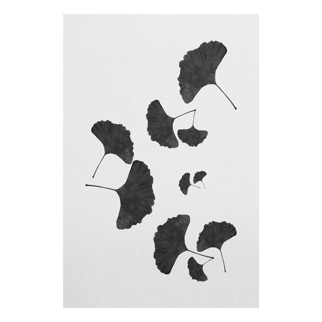 Wandbilder Schwarz-Weiß Ginkgo Komposition in Schwarz-Weiß