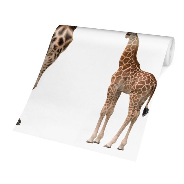 Fototapete Giraffe Mutter und Kind
