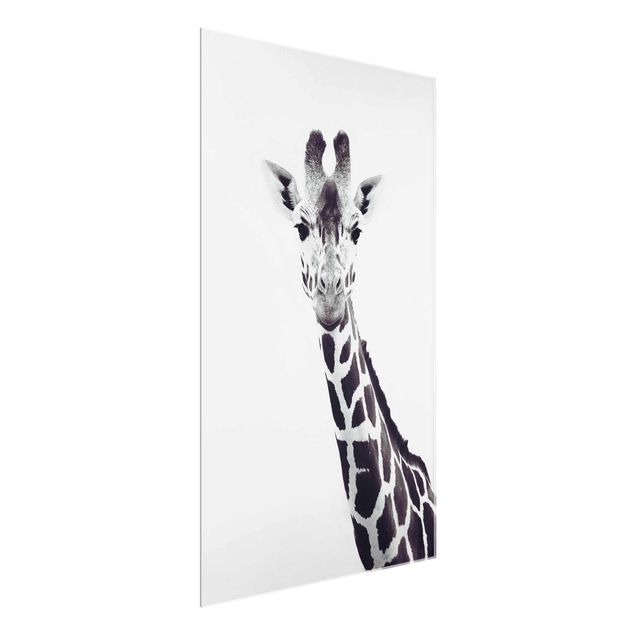 Glasbilder Tiere Giraffen Portrait in Schwarz-weiß