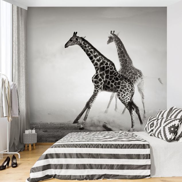 Fototapete modern Giraffenjagd
