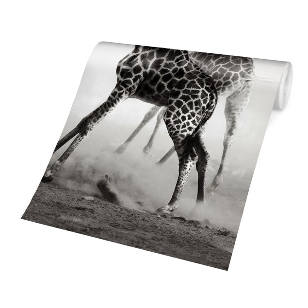 Tapete Schwarz-Weiß Giraffenjagd