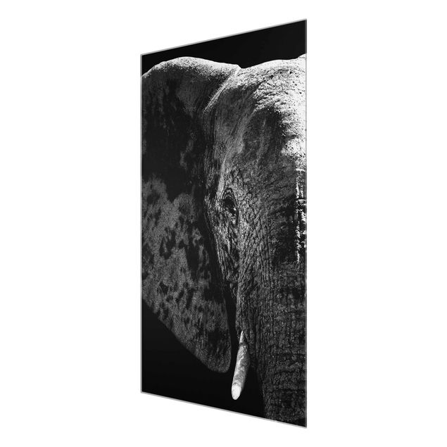 Wandbilder Schwarz-Weiß Afrikanischer Elefant schwarz-weiss