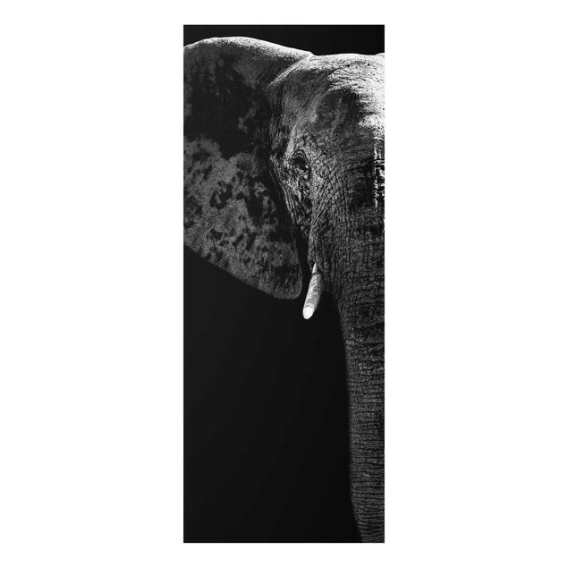 Wandbilder Afrika Afrikanischer Elefant schwarz-weiss