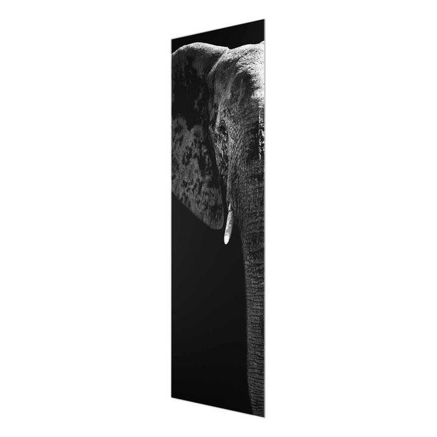 Wandbilder Schwarz-Weiß Afrikanischer Elefant schwarz-weiss