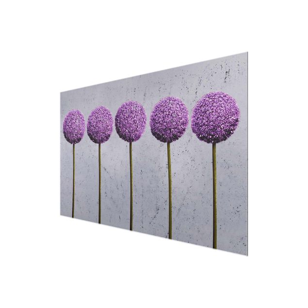 Glasbilder Allium Kugel-Blüten