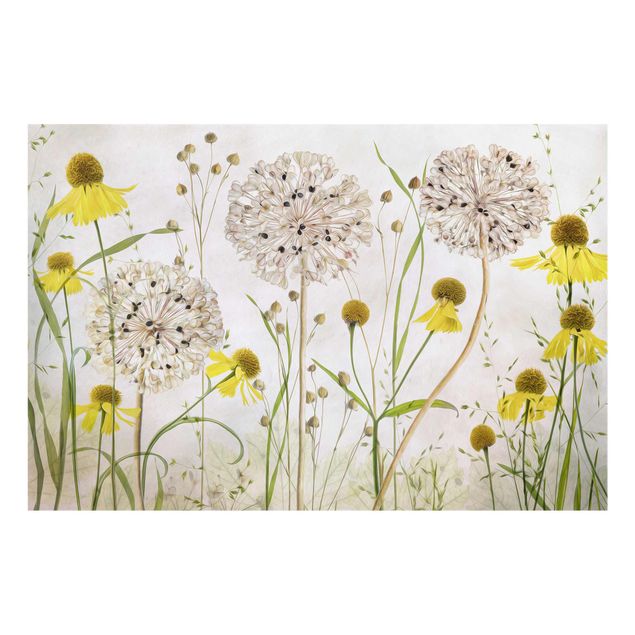 Wandbilder Blumen Allium und Helenium Illustration