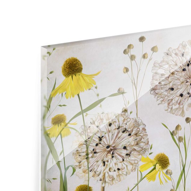 Glas Wandbilder Allium und Helenium Illustration
