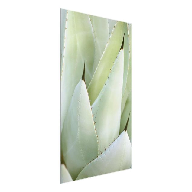 Wandbilder Blumen Aloe