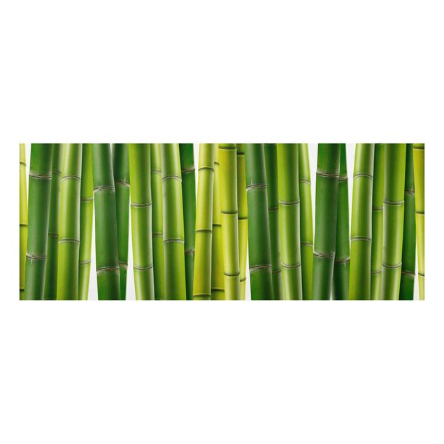 Blumen Glasbilder Bambuspflanzen