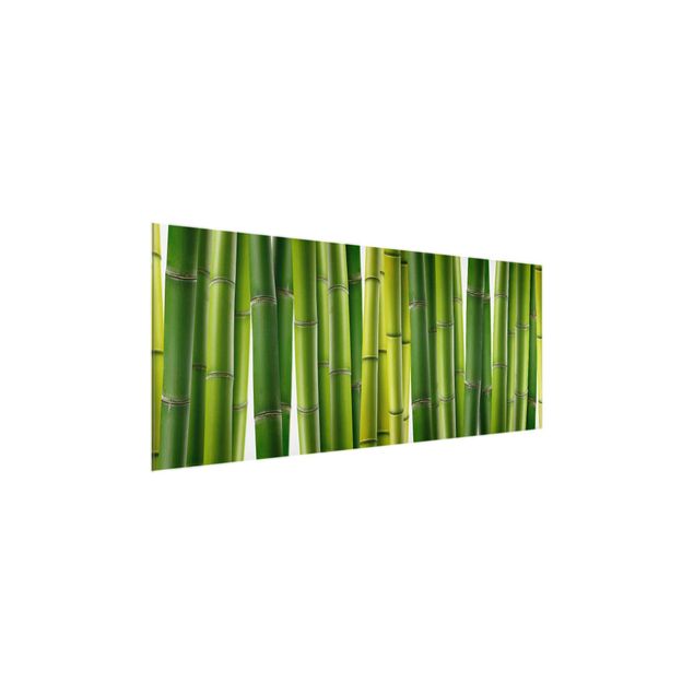 Wandbilder Floral Bambuspflanzen