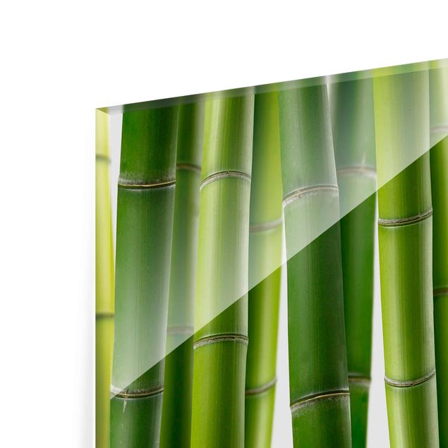 Wandbilder Bambuspflanzen