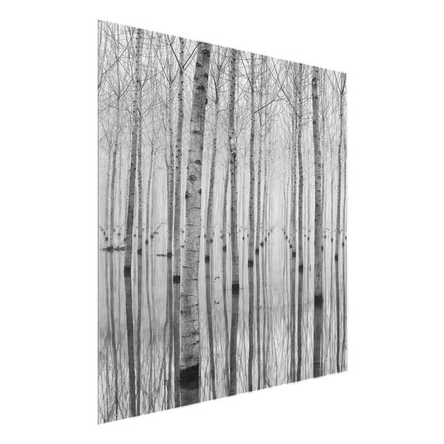 Glasbild schwarz-weiß Birken im November