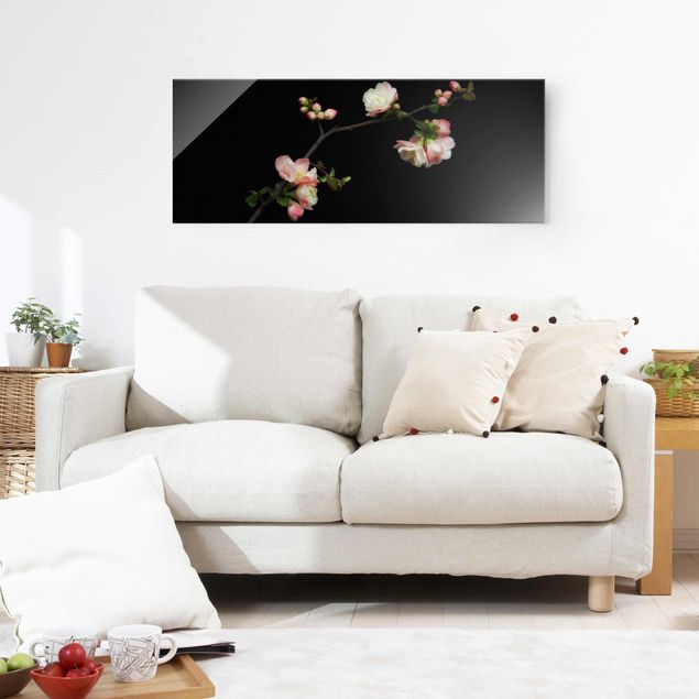 Wandbilder Floral Blütenzweig Apfelbaum