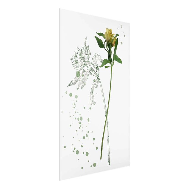 Wandbilder Blumen Botanisches Aquarell - Lilie