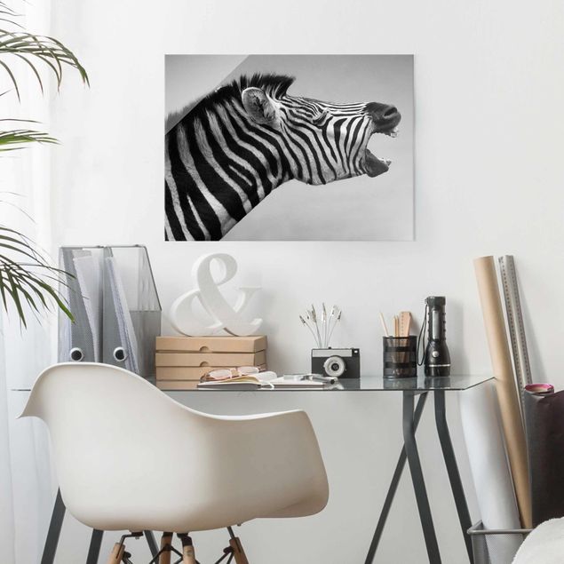 schwarz weiß Glasbilder Brüllendes Zebra II