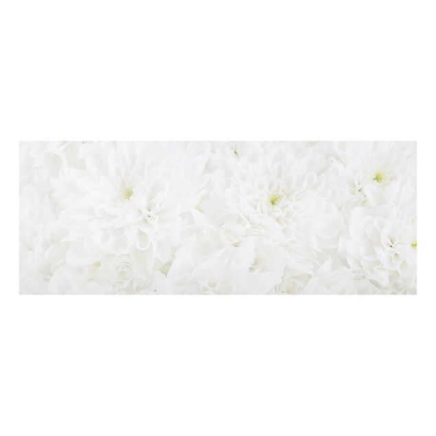 Wandbilder Blumen Dahlien Blumenmeer weiß