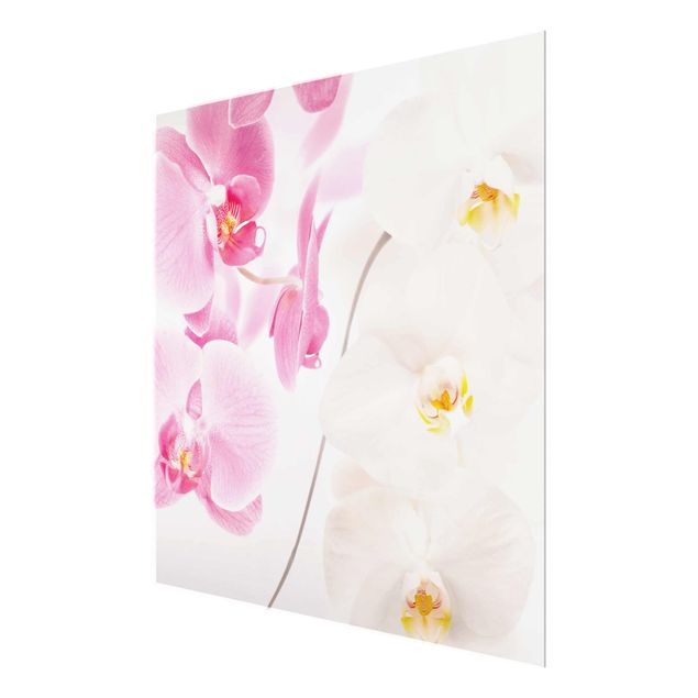Wandbilder Floral Delicate Orchids