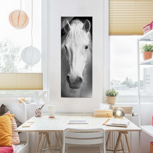 Glasbild schwarz-weiß Dream of a Horse