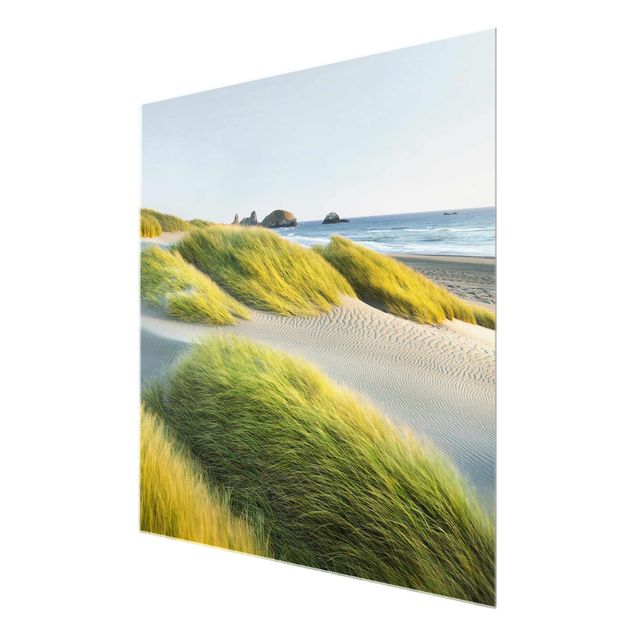 Glasbilder Strand Dünen und Gräser am Meer