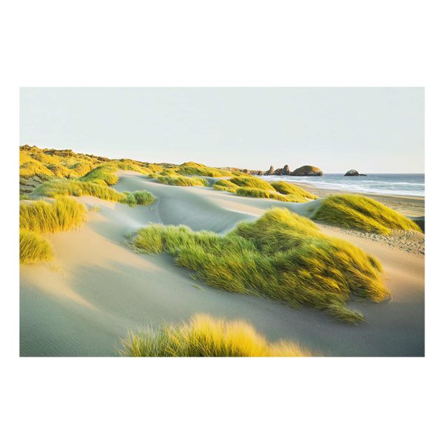 Wandbilder Meer Dünen und Gräser am Meer