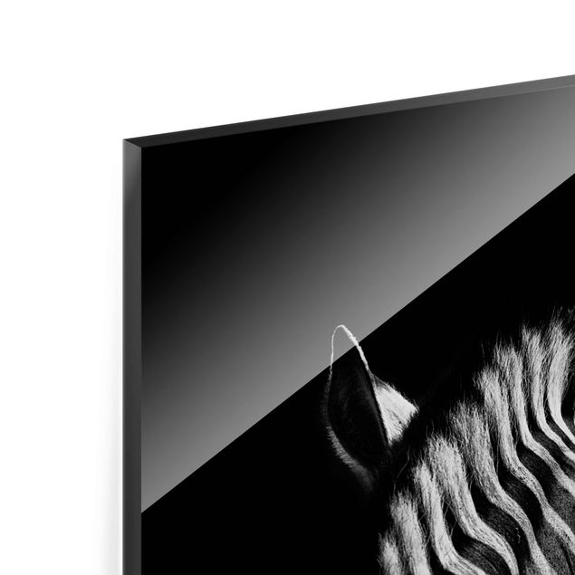 schöne Bilder Dunkle Zebra Silhouette