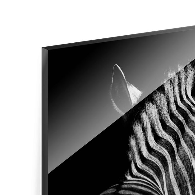 Bilder Dunkle Zebra Silhouette