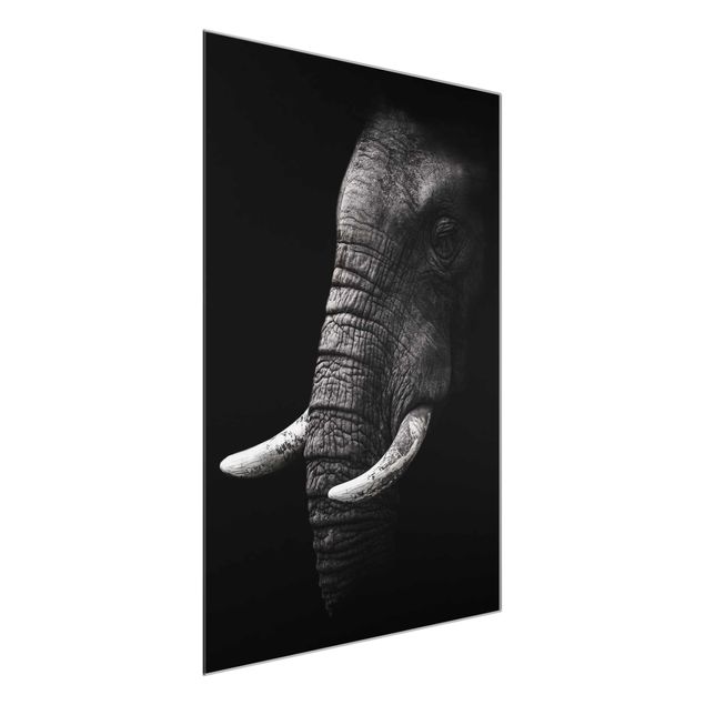 Glasbild schwarz-weiß Dunkles Elefanten Portrait