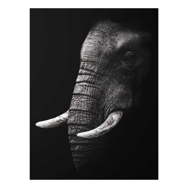 Glasbilder Natur Dunkles Elefanten Portrait