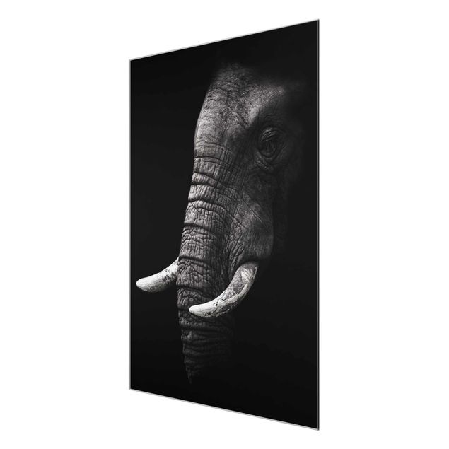 Glasbilder Tiere Dunkles Elefanten Portrait