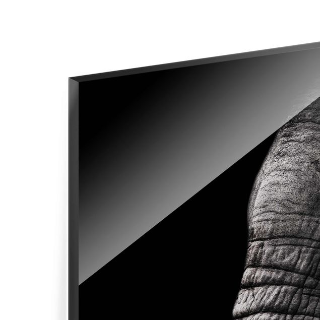 Wandbilder Schwarz-Weiß Dunkles Elefanten Portrait
