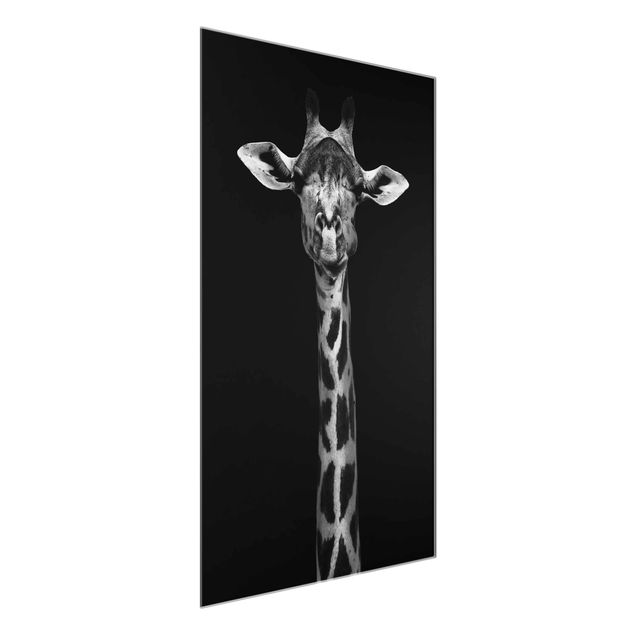 Glasbilder Tiere Dunkles Giraffen Portrait