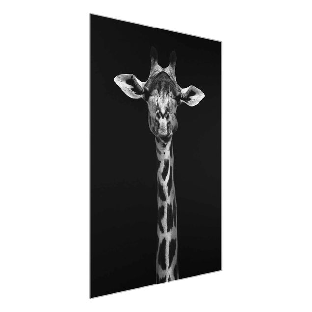 Glasbilder Tiere Dunkles Giraffen Portrait