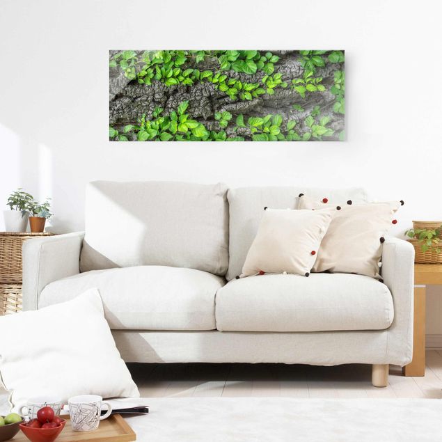 Wandbilder Landschaften Efeuranken Baumrinde