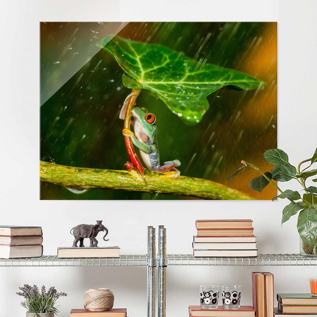 Wanddeko Küche Ein Frosch im Regen