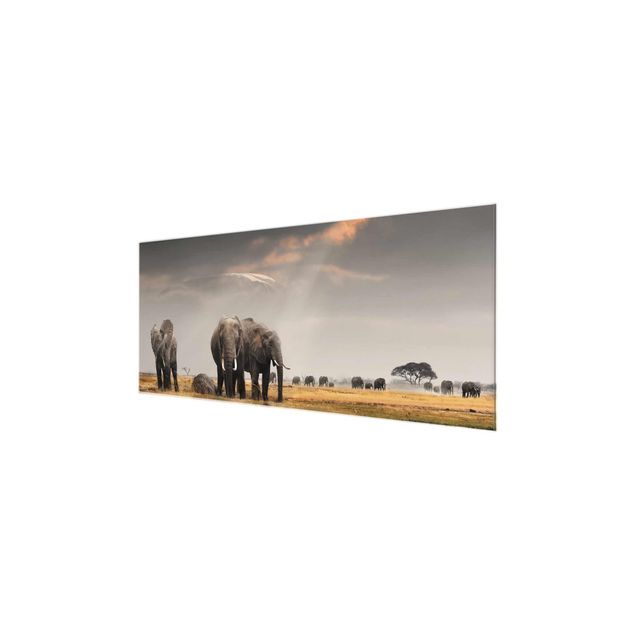 Wandbilder Glas Natur Elefanten der Savanne