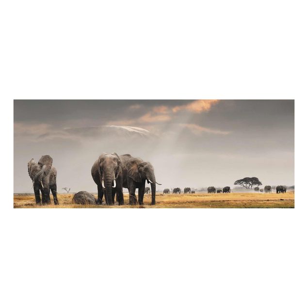 Glasbilder Tiere Elefanten der Savanne