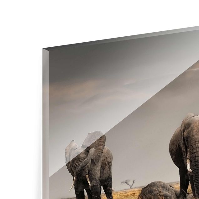 Wandbilder Elefanten der Savanne