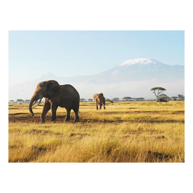 Glasbilder Tiere Elefanten vor dem Kilimanjaro in Kenya