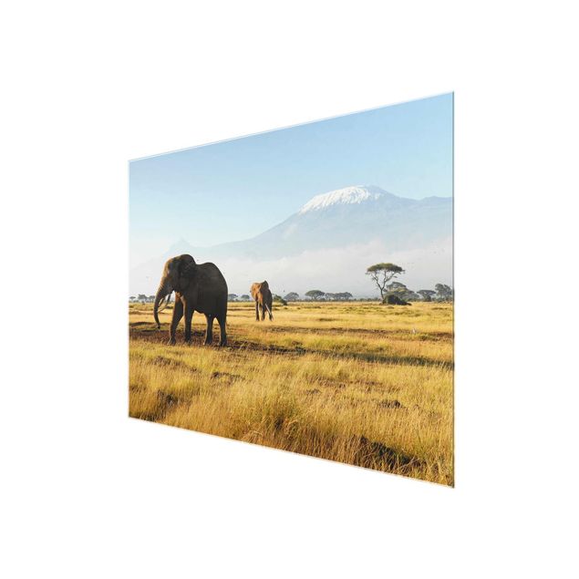 Glasbilder Landschaften Elefanten vor dem Kilimanjaro in Kenya
