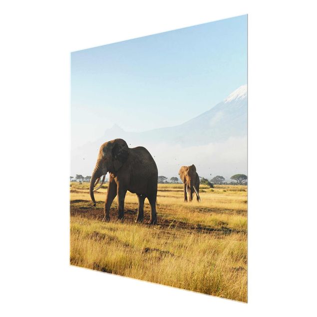 Wandbilder Natur Elefanten vor dem Kilimanjaro in Kenya